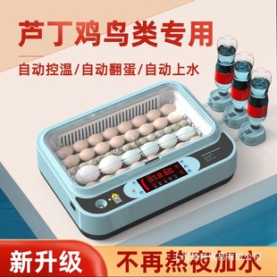 Incubator Small Household Fully Automatic Intelligent Egg Incubator Incubator Incubator Parrot Bird Egg Chick Rutin Chicken
