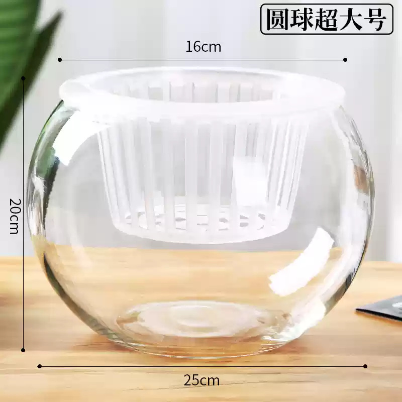 简约现代水培植物玻璃花瓶水养圆球玻璃插花器皿客厅桌面装饰摆件
