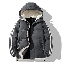 QﶬBñӺʿLɶq޷