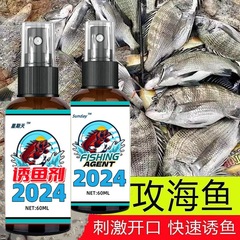 日曜日の海釣り薬の生臭さ黒鯛の餌