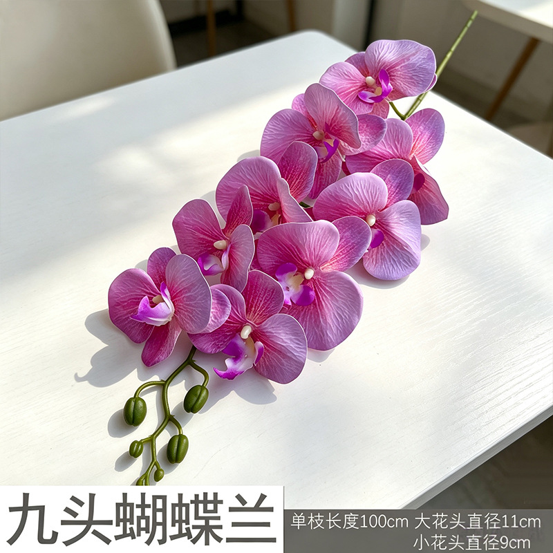 Phalaenopsis 3D mới/màu hồng