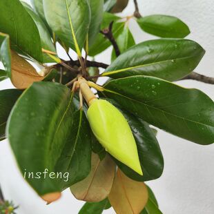 ���m�~�r�ЏV���m�r�л�����ˮ��ֲ���k����ins�L�_������