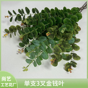 ����3D�z��3����X�~��֧�ȼ�����c��Y�õ��Ż������b����l