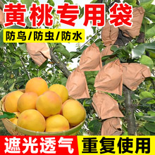 �������ӌ����״��O������ʯ���������S�����ˮ���x�B����漈��