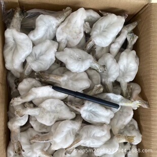 ˮ��h�r10��� �����r  �_��ȥ�c���r�t�r ��側����r �����]