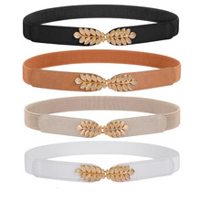 X 35411 Fashion Elastic Belt for Dress ����ȹ���� �羳