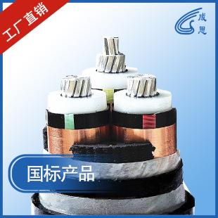 ��ꖮa������ȼ�z�b�Xо�����|YJLV22-8.7/15 3*300�����|