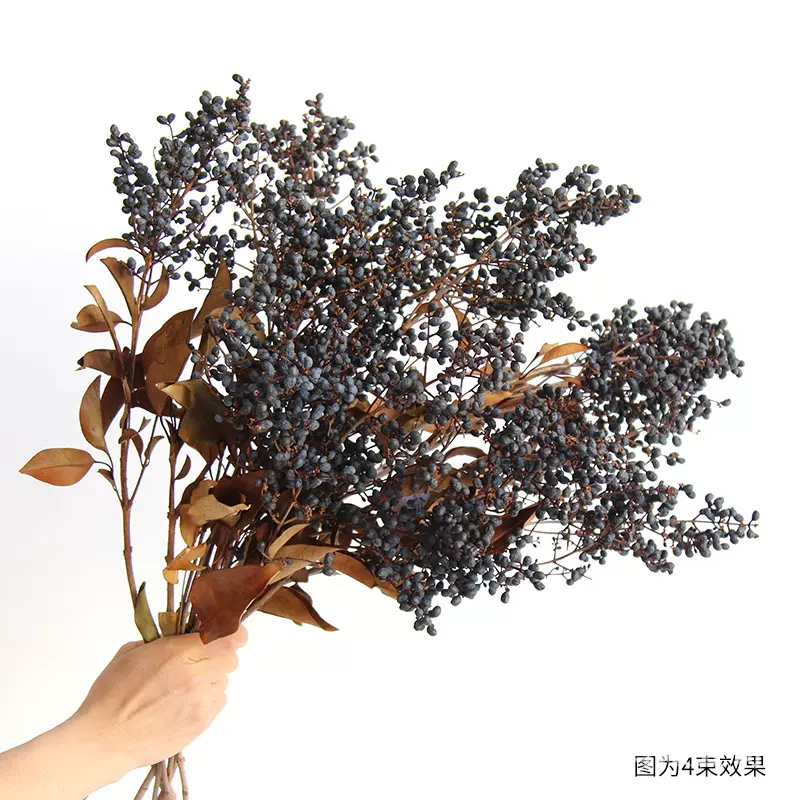狂想者工厂永生·黑冬青/女贞果森系永生干树枝干果干花家装黑果