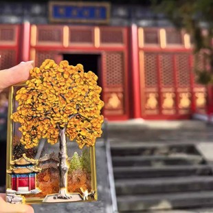 �y�ӱ����N���F�f��������ͤ�Ą�ˇ�g�����^�������μo��Ʒ�ɐ��L