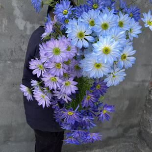 ���滨��c�zӰ3�^�ľջ�Y·�������b�̫ꖾ�܇݆�ռٻ����l