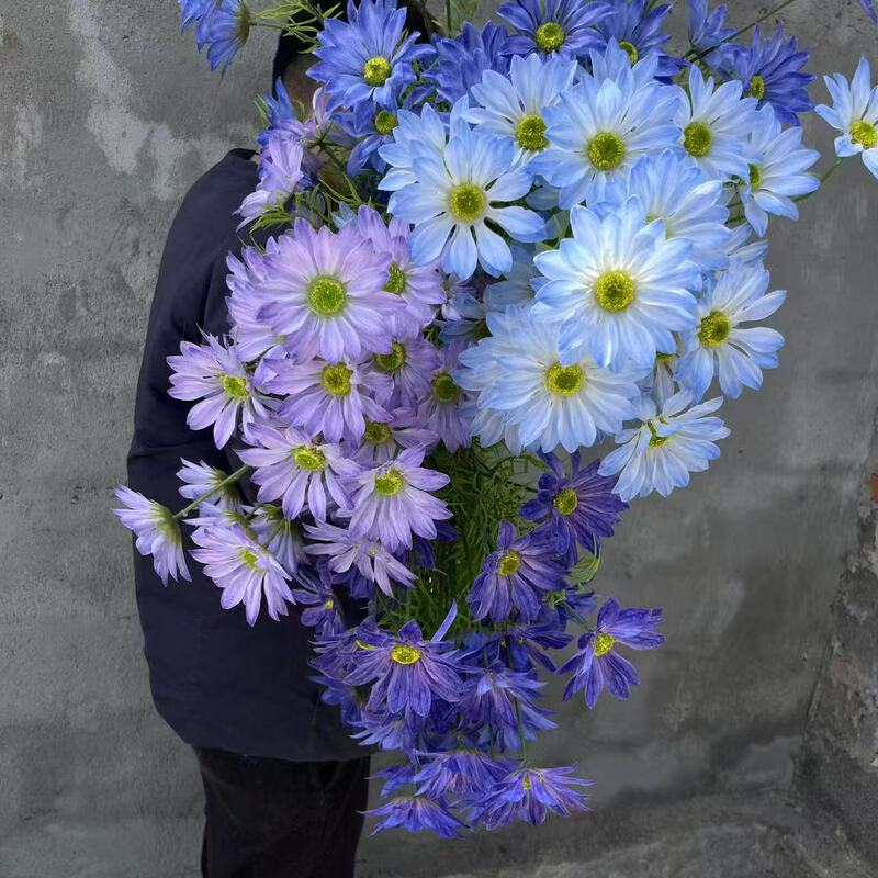 Artificial Flower Wedding Photography 3-Head Summer Chrysanthemum Wedding Aisle Background Decoration Sun Chrysanthemum Wheel Chrysanthemum Fake Flower Wholesale