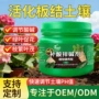 黄叶调节植物家庭专用肥