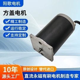 机械用电动机;微型电动机;其他制动系统