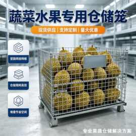 仓储笼厂家果蔬专用折叠铁框储物仓库笼周转箱菜花榴莲蝴蝶笼