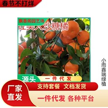 ��Ʒ�N�۽ۘ��������۽ۼ������Ә�����ش���Ϸ��Nֲ�������