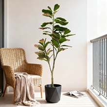 ���Q����170cm3D��ӡ���~��Aɫһ��һ�Ϳ�53�~�������ؔ[�����l