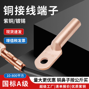 Copper Terminal Block Dt-50/70/95/120/300/400 National Standard Cable Oil-Blocking Tinned Copper Wire Ear Nose