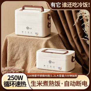 Electric Lunch Box for Heating and Keeping Food Warm, Mini Portable Cooking and Food Container for Office Workers, Can Steam and Boil with Automatic Power-Off