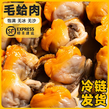 ����S���]�����Bë����ؐ��Сë͘�ӷǼ�ʳ����������r���r���l