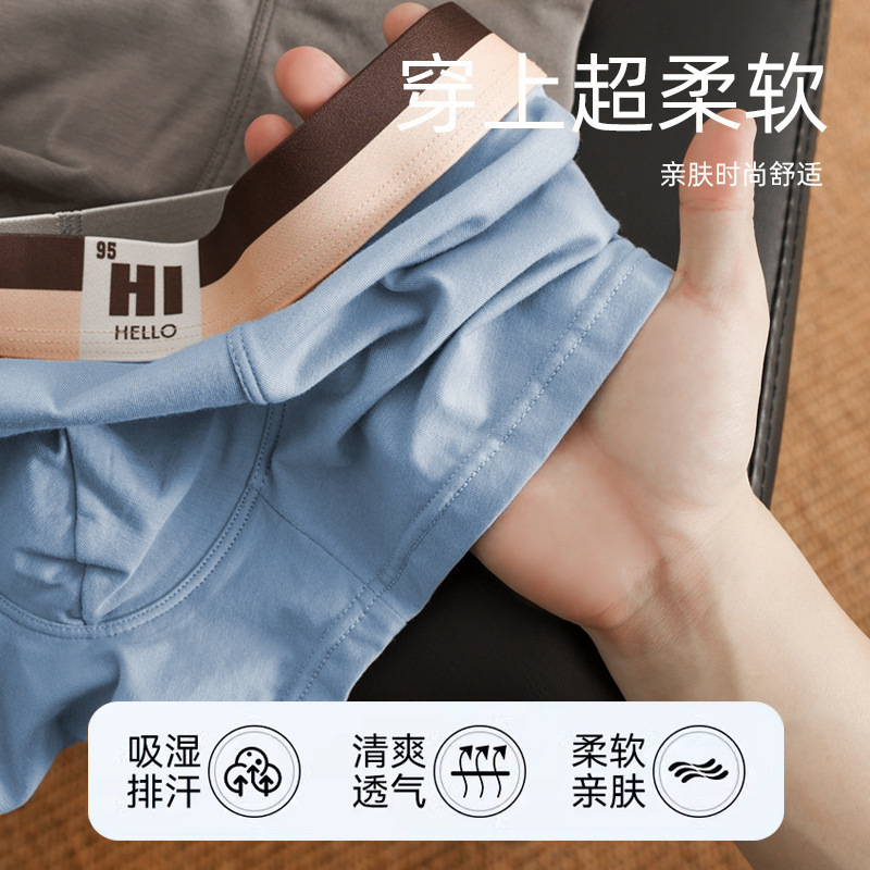 Boys' Pure Cotton Boxer Briefs, Teenagers' Boxer Briefs, Graphene Antibacterial Crotch Men's Underwear, Breathable Shorts