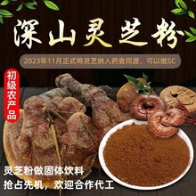 破壁灵芝粉安徽特产赤灵芝林芝打粉批发