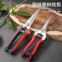 �¿���֦����ժ�����߹������Ѽ�ϡ�������������N�^������֦��@