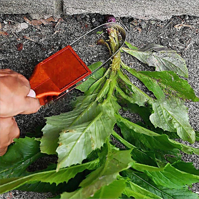 Cross-Border Portable Garden Tool Gadget Bracelet Weeder Popular Multifunctional Balcony Tool 4
