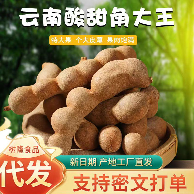 Wholesale sweet and sour tamarind Yunnan specialty 500g tamarind king pregnant women's snack essential tamarind with shell sweet and sour