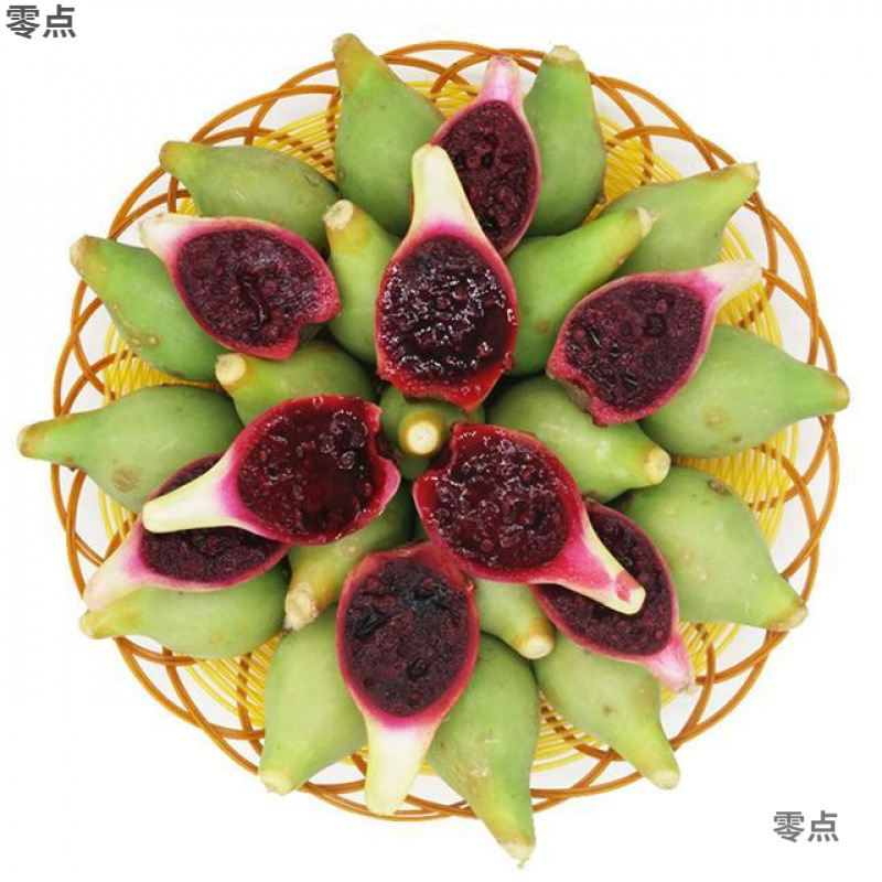 Hainan Sanya Fresh Fruit Cactus Fruit Wild Cactus Fruit Fairy Peach 2 Jin / 5 Pieces Dried Fruit Freshly Picked For Sale