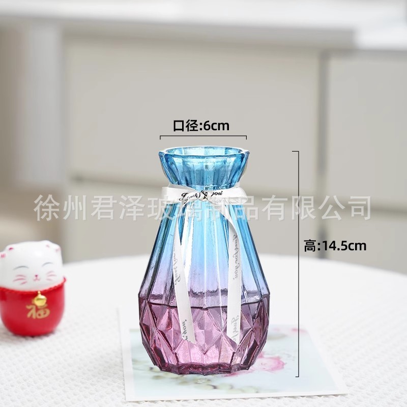 北欧创意透明玻璃花瓶水培绿萝植物干花鲜花插花瓶客厅装饰摆件|undefined