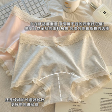 女士纯棉平角内裤女10A抗菌全棉加长裆蕾丝A类棉大码二合一安全裤