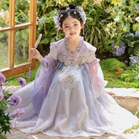 2025 новое летнее платье оригинальное супер-фея высокого класса Hanfu девушка модный китайский элемент старинная юбка для волос