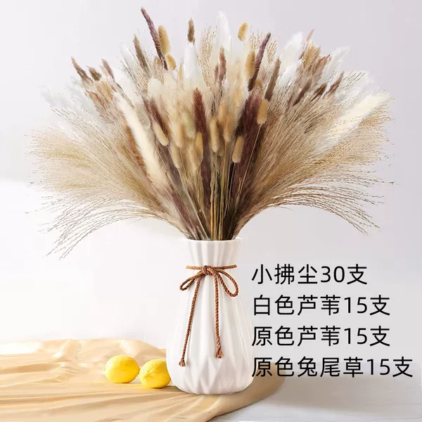 HS79