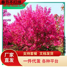 һ�����l���Ļ�����ͥԺ���Ե����������z�������⺣�Ĵ���ͺ���