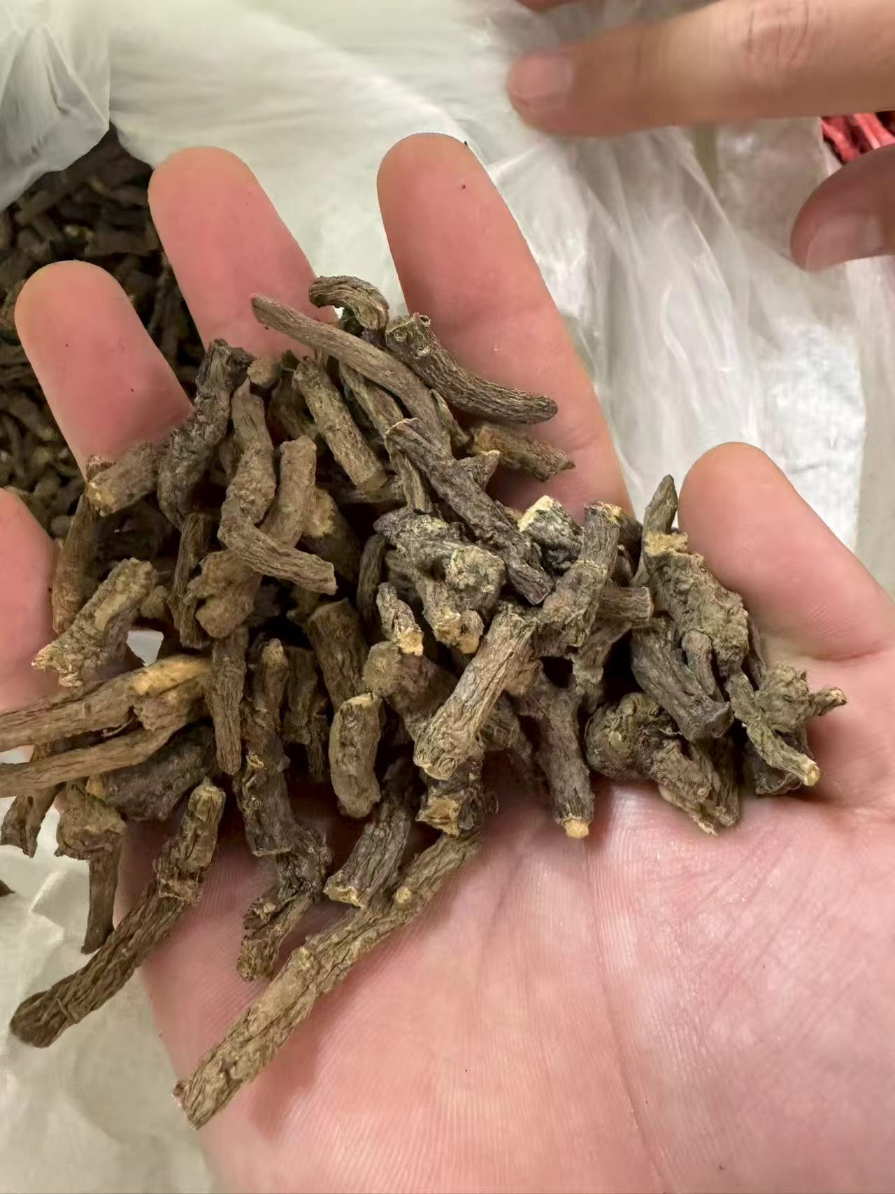 Dried Dandelion Root Cut Pu Gong Ying Herbal Tea Ingredient 1000g Bulk Bag specifications