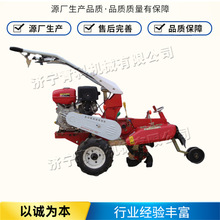 大葱果园种植起垄机 手扶式农用耕地盖土机 蔬菜农田开沟培土机