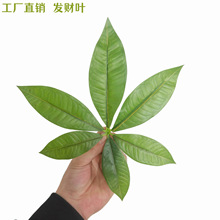 仿真叶子 仿真发财树枝单片树叶 假叶子 园林插花篮装饰 摄影道具