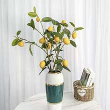 �zӰ�Ҿӷ������������@֦����[��֦�O���������ӹ����b�֦