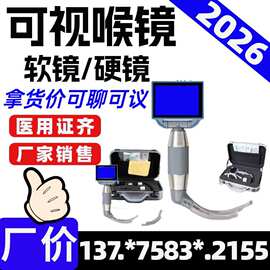医用麻醉咽喉内窥镜成人儿童可视喉镜耳鼻喉科气管插管抢救急诊医