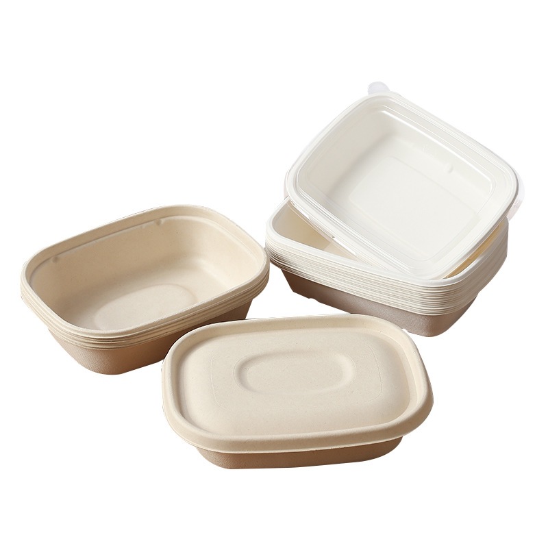 Pulpa de caña de azúcar degradable desechable ensalada de frutas ligera para llevar lonchera de picnic rectangular