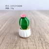 Small fleshy potted plant (overlord flower)