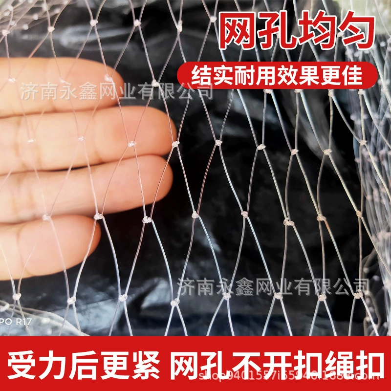 Оптовая Продажа с фабрики Белая нейлоновая нить фруктовое дерево сад Вишневое дерево анти-птица чистая Яблоко Груша дерево Персик Анти-птица чистая