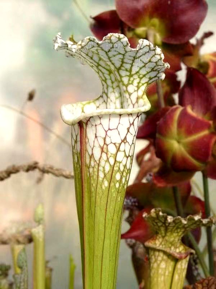 微信图片_20210520111336