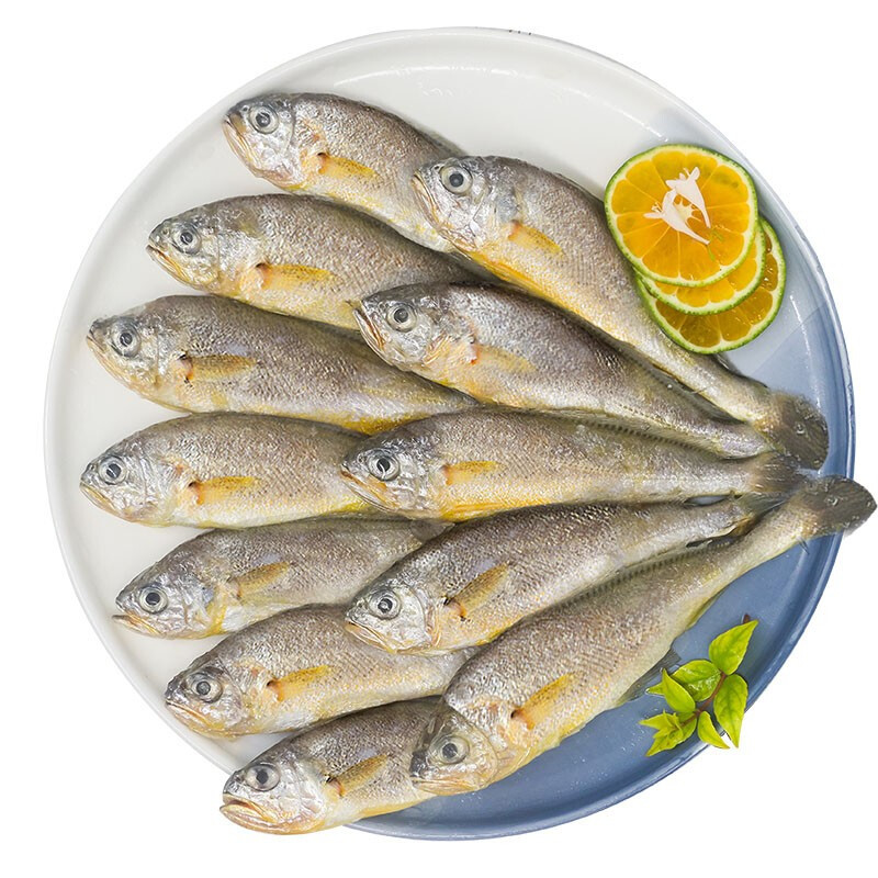 [Shunfeng]fresh Fresh Freezing East China Sea Small yellow croaker Freezing fresh  Yellow croaker Seafood Aquatic products wholesale