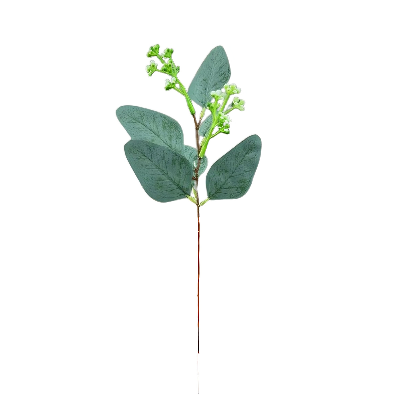 과일이 달린 뾰족한 잎