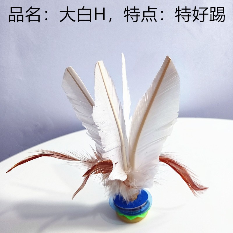 2025-05-08 15:28:49.jpg