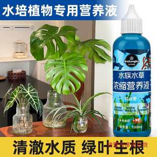 Hydroponic Plant Nutrient Solution to Prevent Yellow Leaves, Rich Bamboo, Monstera, Brazilian Wood, Tulips, Pothos, General Fertilizer