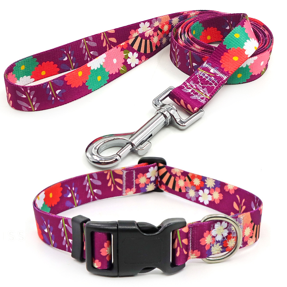 Amazon al por mayor collar de mascota corda de tracción al aire libre paseo perro collar perro collar en el viento