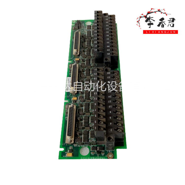 DS200DACAG1A GE 热电阻输入端子模块