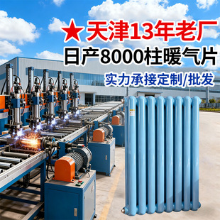 6030 Oval Steel Two-Column Radiator Household Wholesale Engineering Special Wall-Mounted Steel Radiator